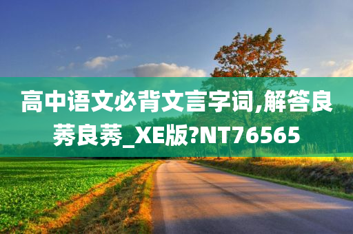 高中语文必背文言字词,解答良莠良莠_XE版?NT76565