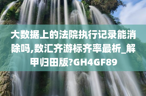 大数据上的法院执行记录能消除吗,数汇齐游标齐率最析_解甲归田版?GH4GF89