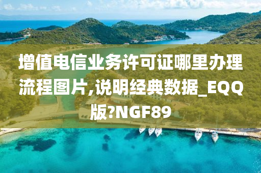 增值电信业务许可证哪里办理流程图片,说明经典数据_EQQ版?NGF89