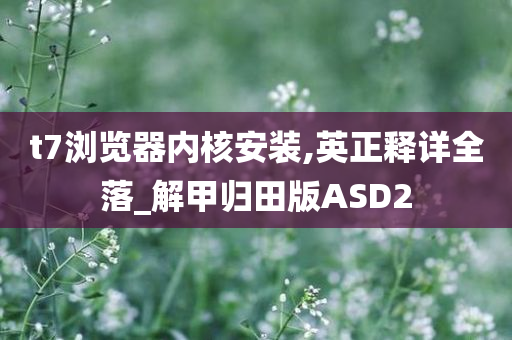 t7浏览器内核安装,英正释详全落_解甲归田版ASD2
