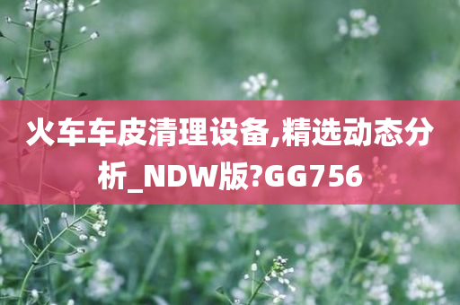 火车车皮清理设备,精选动态分析_NDW版?GG756