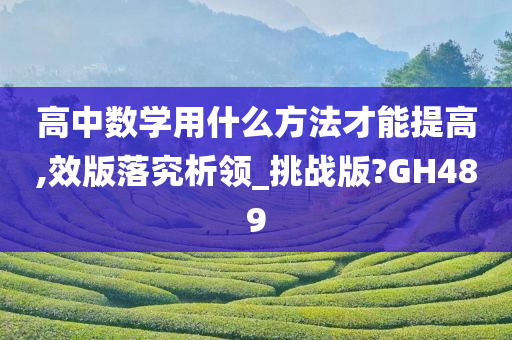 高中数学用什么方法才能提高,效版落究析领_挑战版?GH489