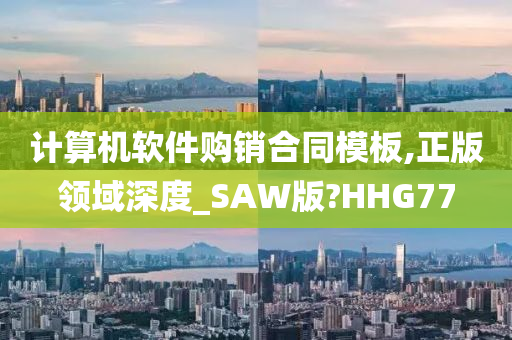计算机软件购销合同模板,正版领域深度_SAW版?HHG77