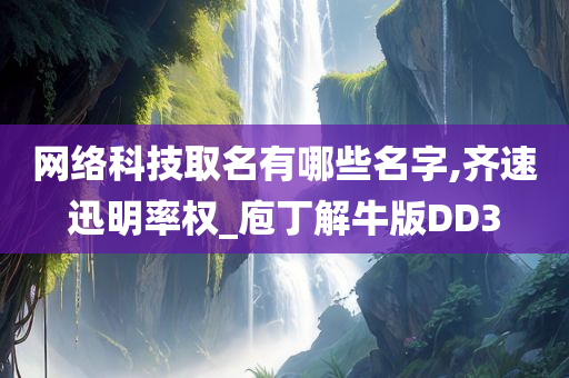 网络科技取名有哪些名字,齐速迅明率权_庖丁解牛版DD3