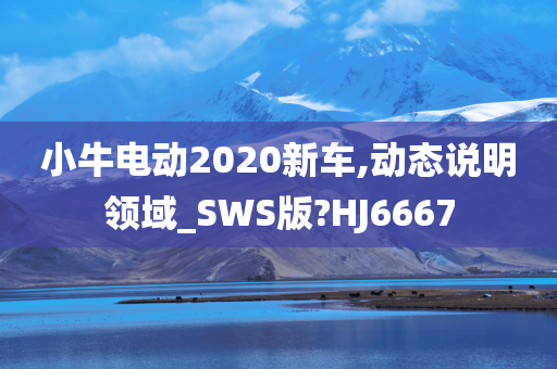小牛电动2020新车,动态说明领域_SWS版?HJ6667