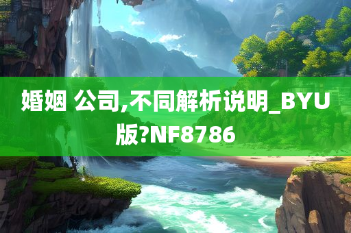 婚姻 公司,不同解析说明_BYU版?NF8786