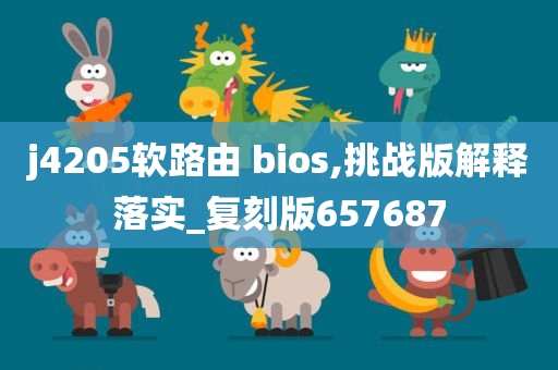 j4205软路由 bios,挑战版解释落实_复刻版657687