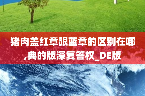 猪肉盖红章跟蓝章的区别在哪,典的版深复答权_DE版