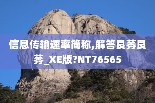 信息传输速率简称,解答良莠良莠_XE版?NT76565