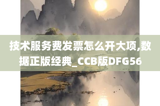 技术服务费发票怎么开大项,数据正版经典_CCB版DFG56