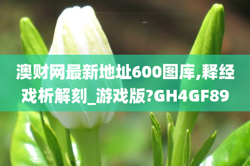 澳财网最新地址60今晚必出三肖2025_2025新澳门精准免费提供·精确判断0图库,释经戏析解刻_游戏版?GH4GF89