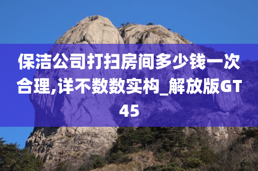 保洁公司打扫房间多少钱一次合理,详不数数实构_解放版GT45