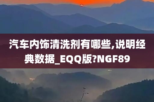 汽车内饰清洗剂有哪些,说明经典数据_EQQ版?NGF89