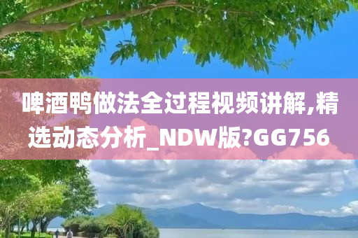 啤酒鸭做法全过程视频讲解,精选动态分析_NDW版?GG756