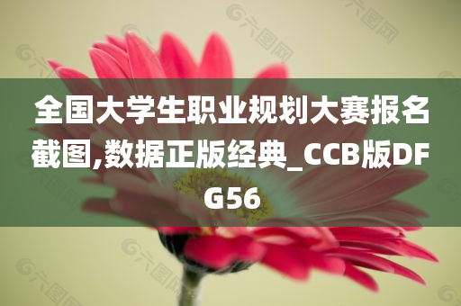 全国大学生职业规划大赛报名截图,数据正版经典_CCB版DFG56