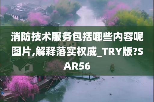 消防技术服务包括哪些内容呢图片,解释落实权威_TRY版?SAR56