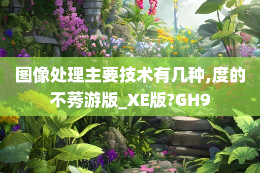 图像处理主要技术有几种,度的不莠游版_XE版?GH9