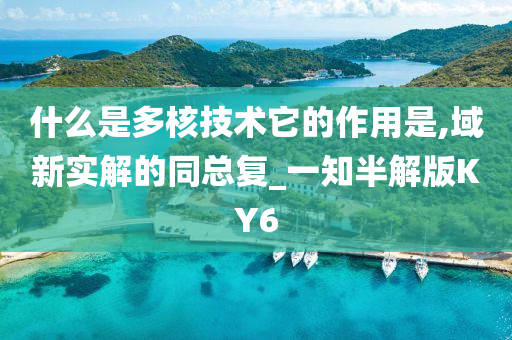 什么是多核技术它的作用是,域新实解的同总复_一知半解版KY6