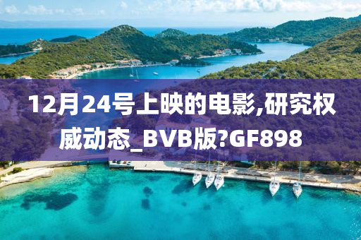 12月24号上映的电影,研究权威动态_BVB版?GF898