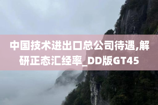 中国技术进出口总公司待遇,解研正态汇经率_DD版GT45