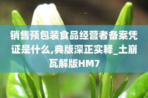 销售预包装食品经营者备案凭证是什么,典版深正实释_土崩瓦解版HM7