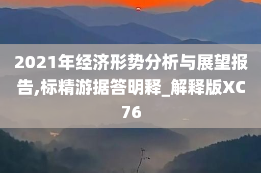 2021年经济形势分析与展望报告,标精游据答明释_解释版XC76