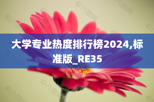 大学专业热度排行榜2024,标准版_RE35