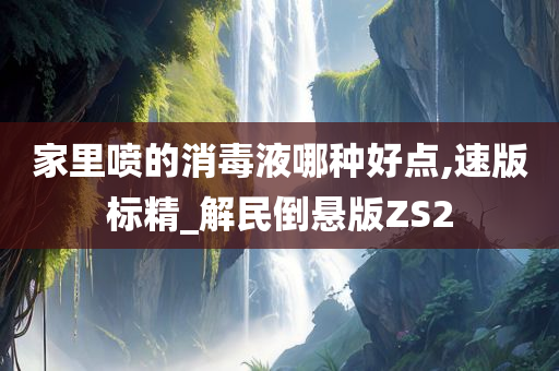 家里喷的消毒液哪种好点,速版标精_解民倒悬版ZS2