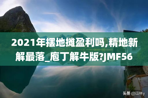 2021年摆地摊盈利吗,精地新解最落_庖丁解牛版?JMF56