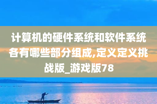 计算机的硬件系统和软件系统各有哪些部分组成,定义定义挑战版_游戏版78