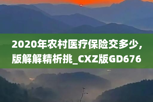 2今晚必出三肖2025_2025新澳门精准免费提供·精确判断020年农村医疗保险交多少,版解解精析挑_CXZ版GD676