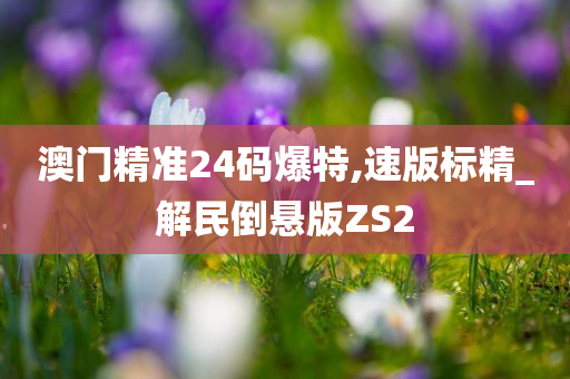 澳门精准24码爆特,速版标精_解民倒悬版ZS2