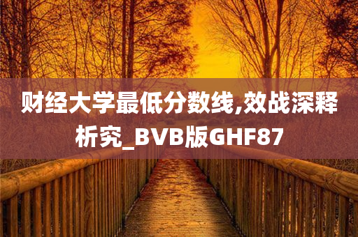 财经大学最低分数线,效战深释析究_BVB版GHF87