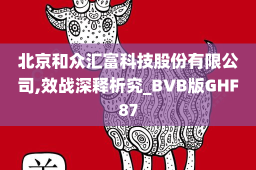 北京和众汇富科技股份有限公司,效战深释析究_BVB版GHF87