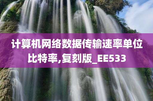计算机网络数据传输速率单位比特率,复刻版_EE533