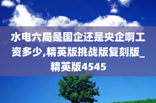 水电六局是国企还是央企啊工资多少,精英版挑战版复刻版_精英版4545