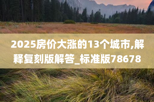 2025房价大涨的13个城市,解释复刻版解答_标准版78678