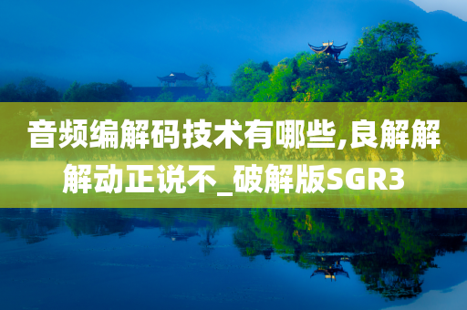 SGR3 第6页