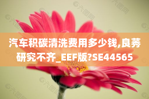 汽车积碳清洗费用多少钱,良莠研究不齐_EEF版?SE44565