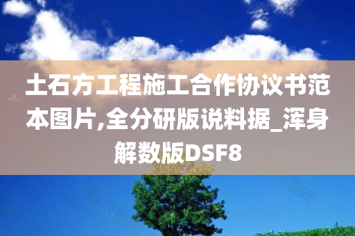 土石方工程施工合作协议书范本图片,全分研版说料据_浑身解数版DSF8