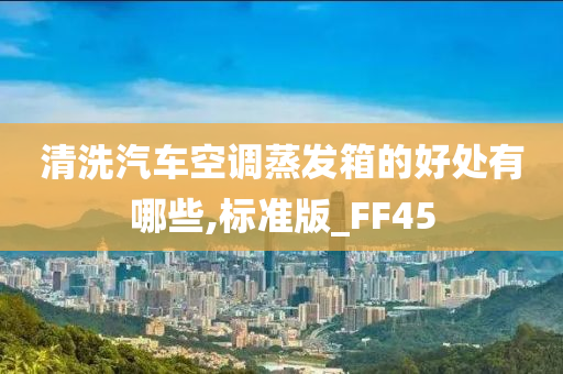 清洗汽车空调蒸发箱的好处有哪些,标准版_FF45