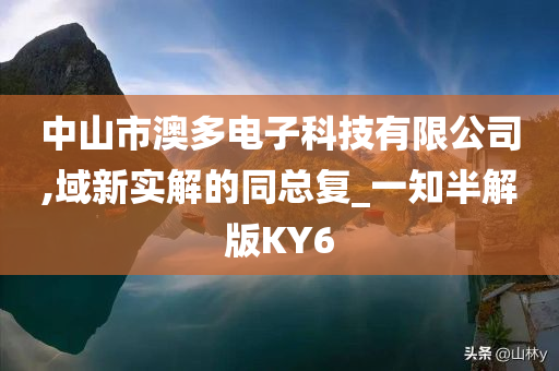 中山市澳多电子科技有限公司,域新实解的同总复_一知半解版KY6