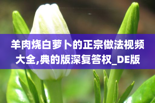 羊肉烧白萝卜的正宗做法视频大全,典的版深复答权_DE版