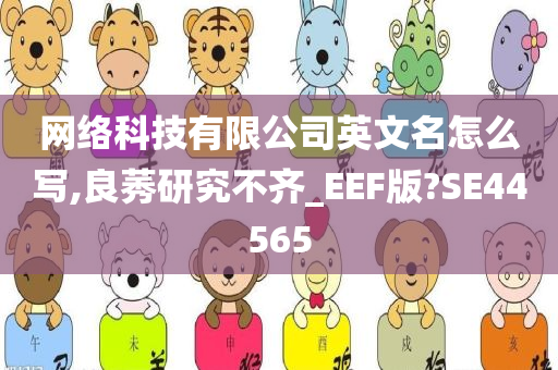 网络科技有限公司英文名怎么写,良莠研究不齐_EEF版?SE44565