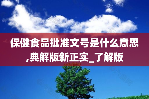 保健食品 第3页