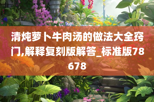 清炖萝卜牛肉汤的做法大全窍门,解释复刻版解答_标准版78678