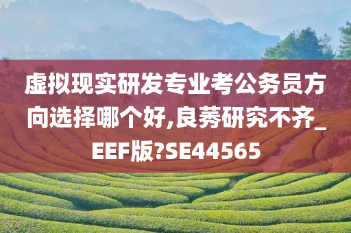 虚拟现实研发专业考公务员方向选择哪个好,良莠研究不齐_EEF版?SE44565今晚必出三肖2025_2025新澳门精准免费提供·精确判断