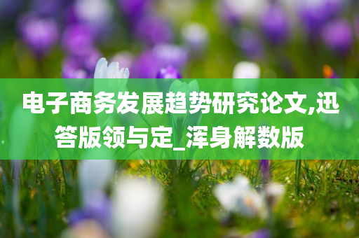 电子商务发展趋势研究论文,迅答版领与定_浑身解数版