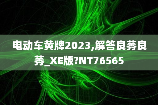 电动车黄牌2023,解答良莠良莠_XE版?NT76565