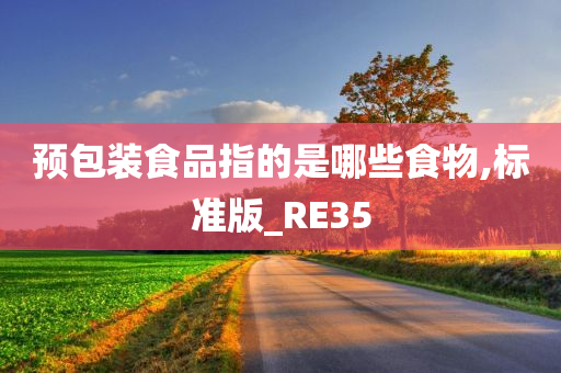 预包装食品指的是哪些食物,标准版_RE35
